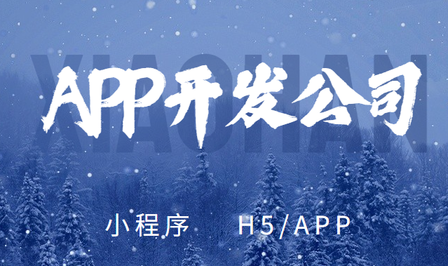 深圳APP开发公司