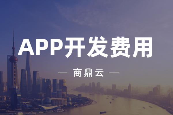 APP开发公司