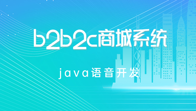 B2C商城系统开发