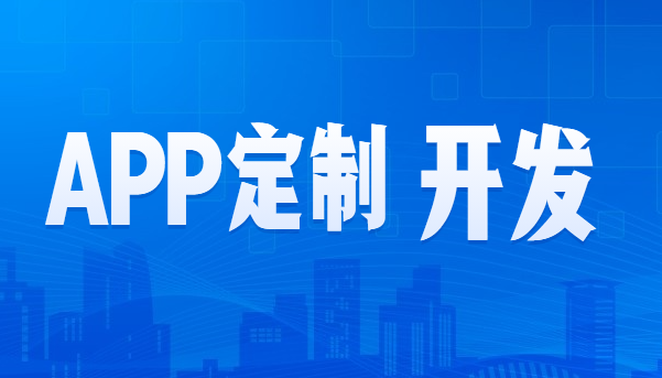 APP定制开发