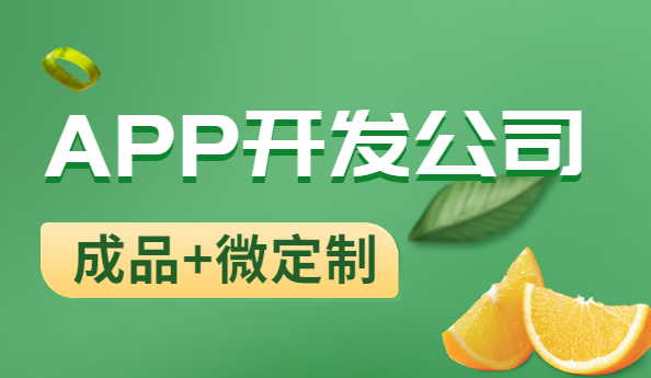 APP开发公司