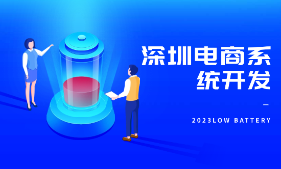 深圳电商系统开发