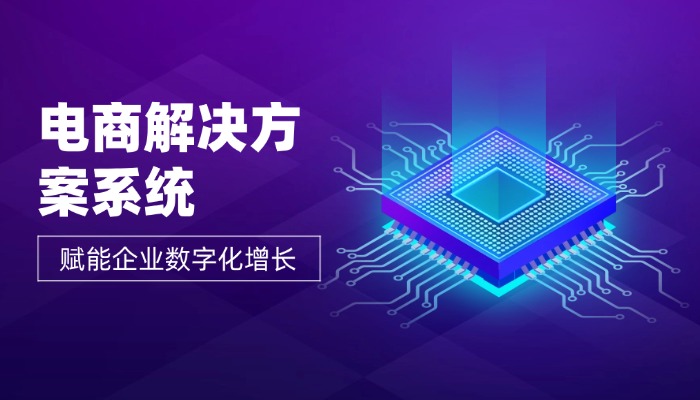 电商解决方案系统
