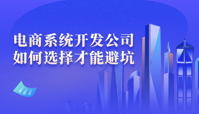 电商系统开发公司