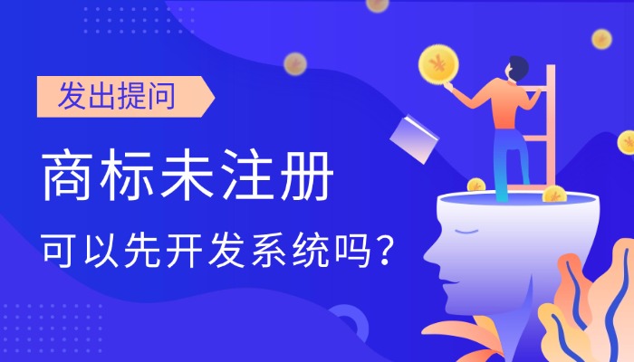 软件定制外包