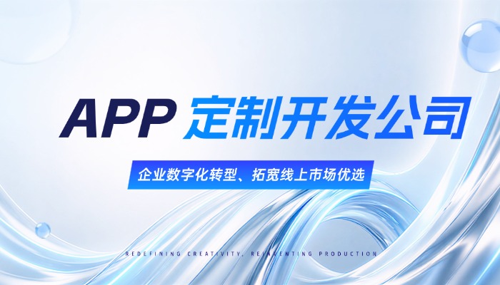 APP定制开发公司